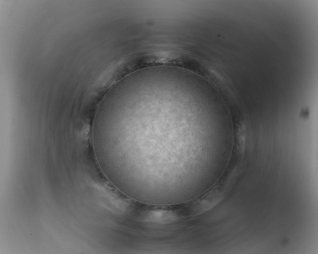 X0000112210657200908141459