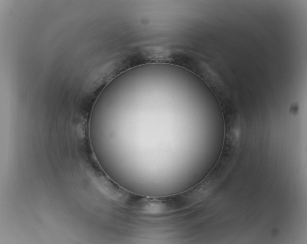 X0000112210658200908141459