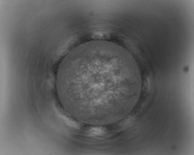 X0000112210659200908141459