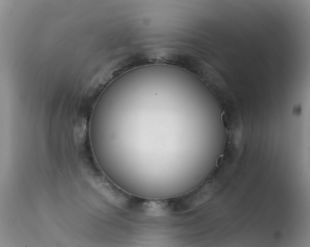 X0000112210660200908141459