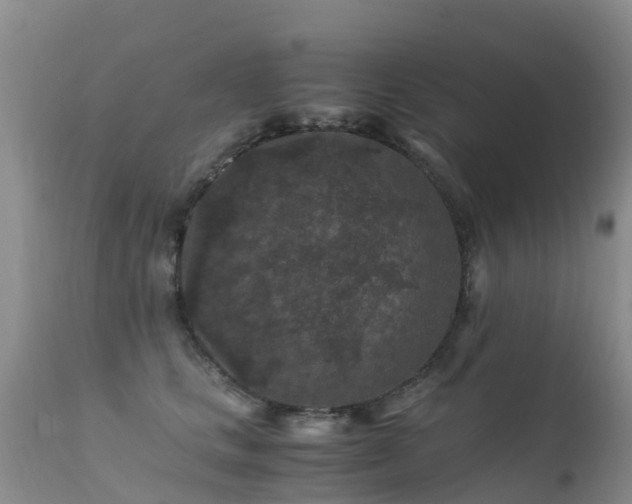 X0000112210661200908141459