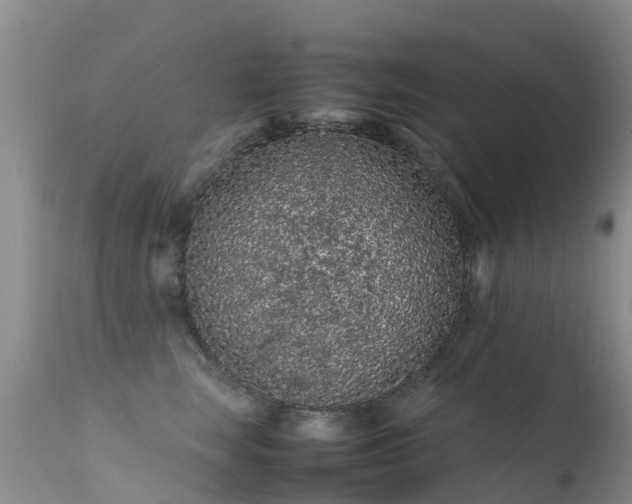 X0000112210663200908141459