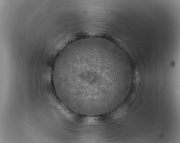 X0000112210664200908141459