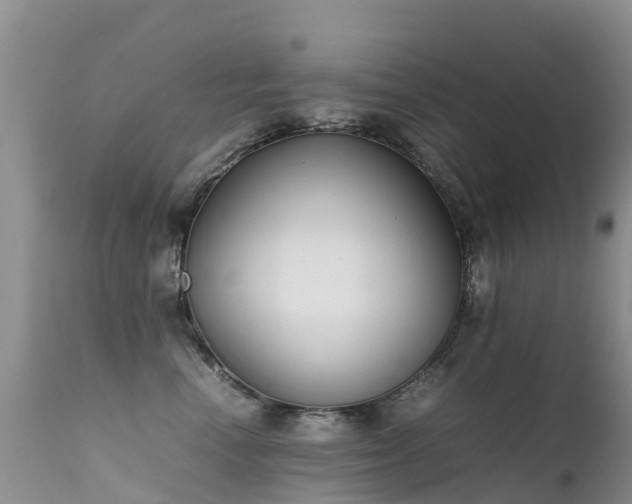 X0000112210666200908141459