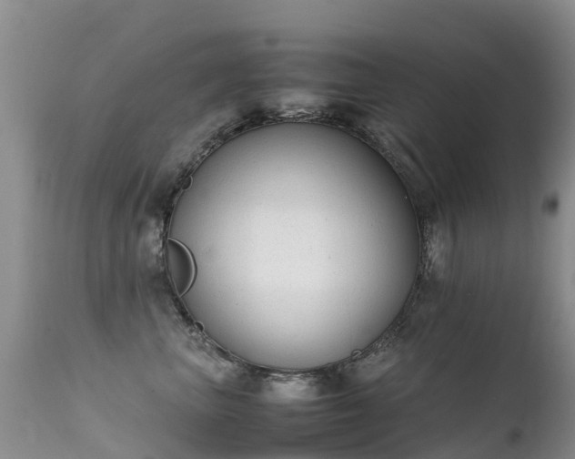 X0000112210667200908141459