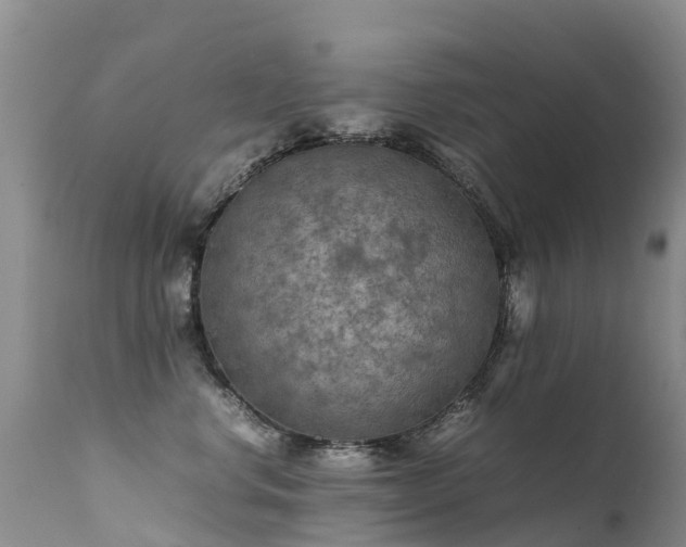 X0000112210668200908141459