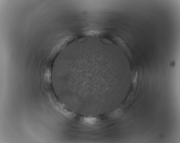 X0000112210669200908141459