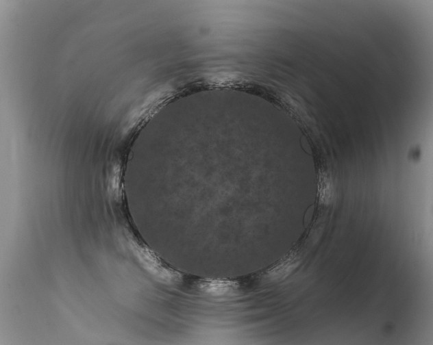 X0000112210670200908141459