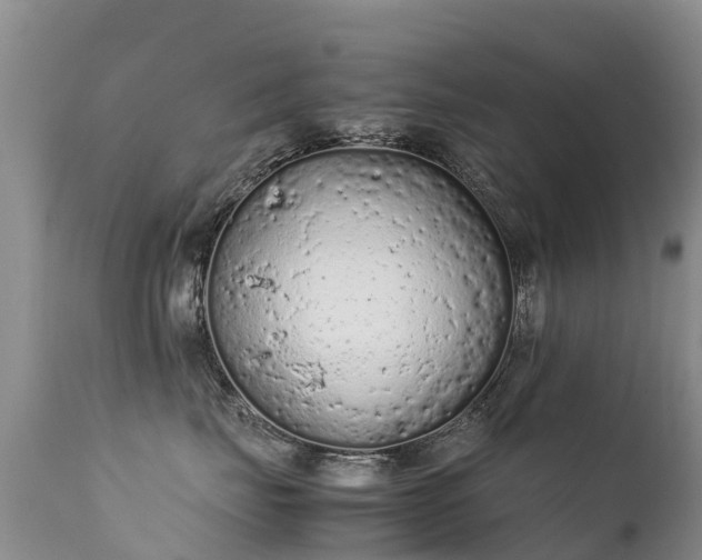 X0000112210671200908141459