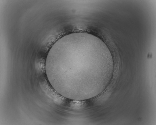 X0000112210672200908141459