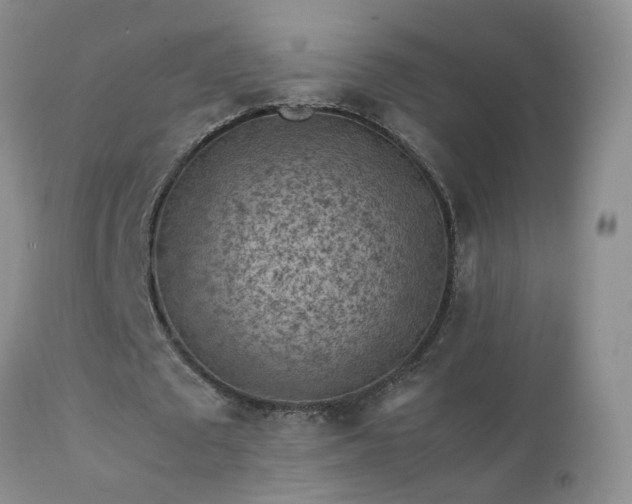 X0000112210673200908141458