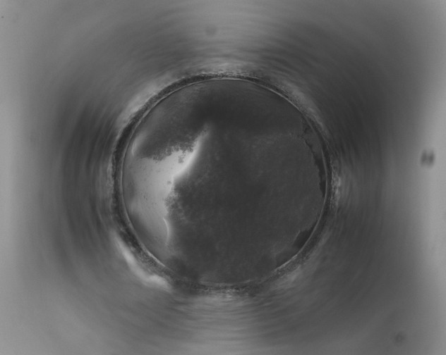 X0000112210674200908141458