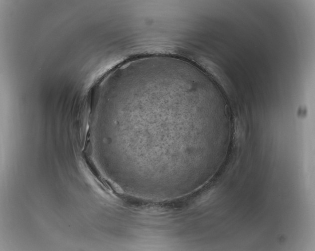 X0000112210677200908141458