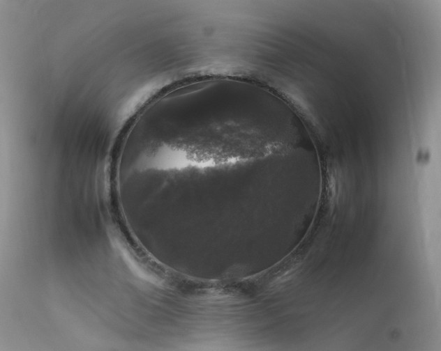 X0000112210678200908141458