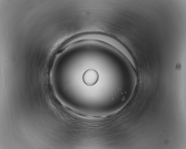 X0000112210680200908141458