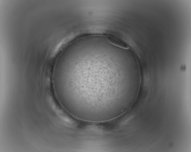 X0000112210681200908141458