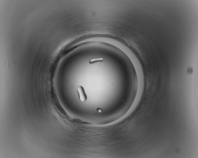 X0000112210684200908141458