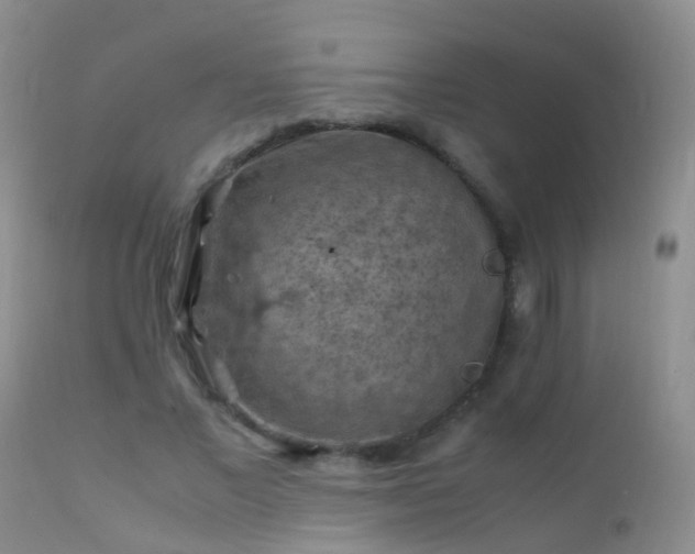 X0000112210685200908141458