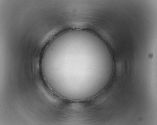 X0000112210686200908141458