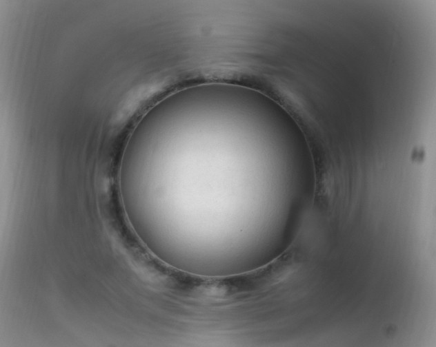 X0000112210687200908141458