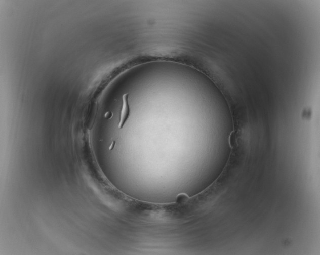 X0000112210688200908141458