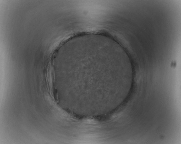 X0000112210689200908141458