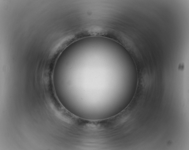 X0000112210690200908141458