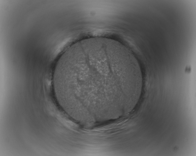 X0000112210691200908141458