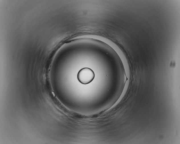 X0000112210692200908141458