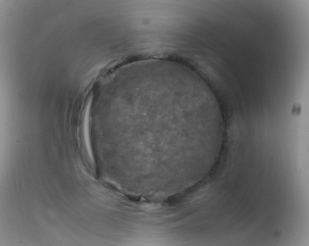 X0000112210693200908141458