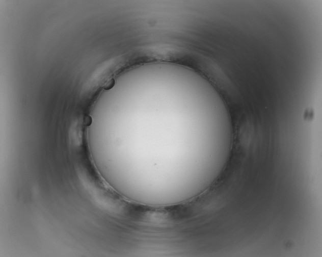 X0000112210694200908141458