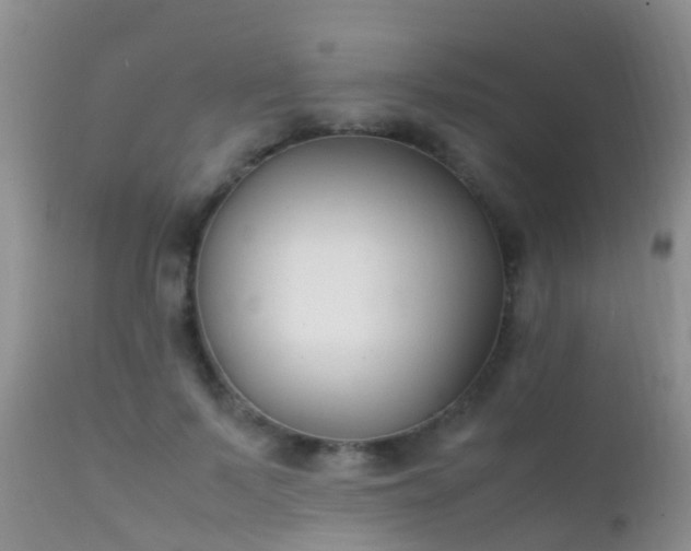 X0000112210695200908141458