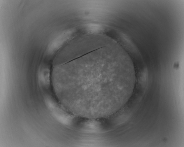 X0000112210696200908141458