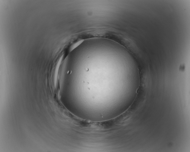 X0000112210697200908141458