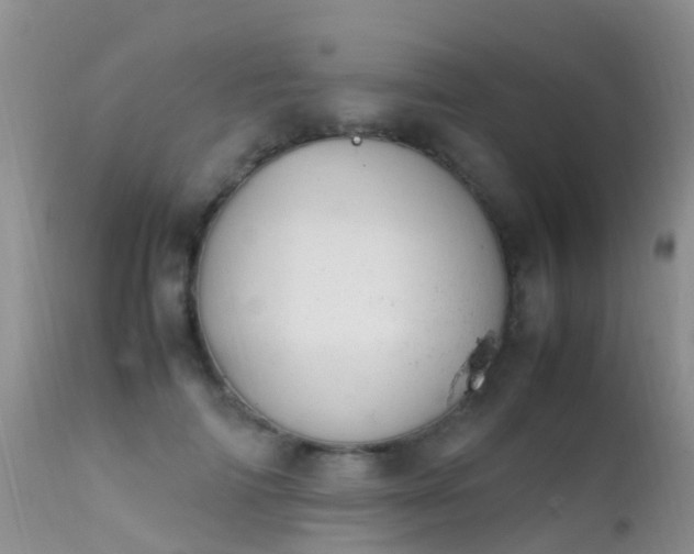 X0000112210698200908141458