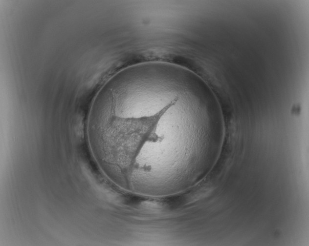 X0000112210699200908141458