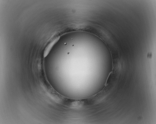 X0000112210700200908141458