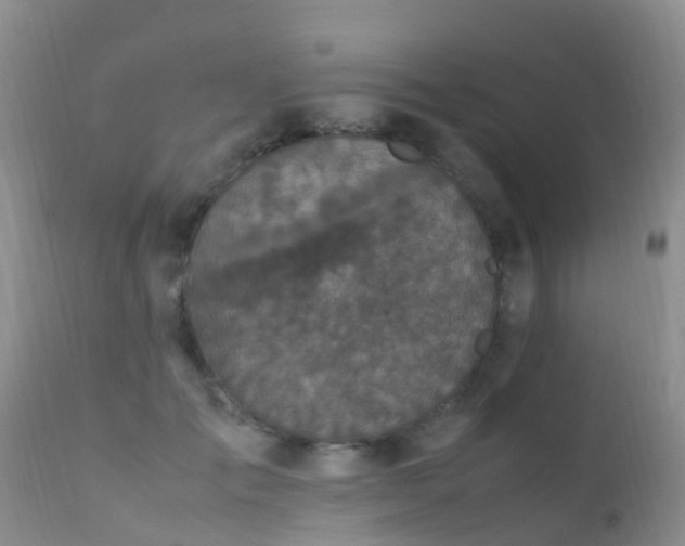 X0000112210701200908141458