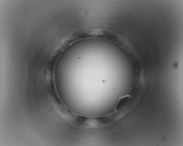 X0000112210704200908141458