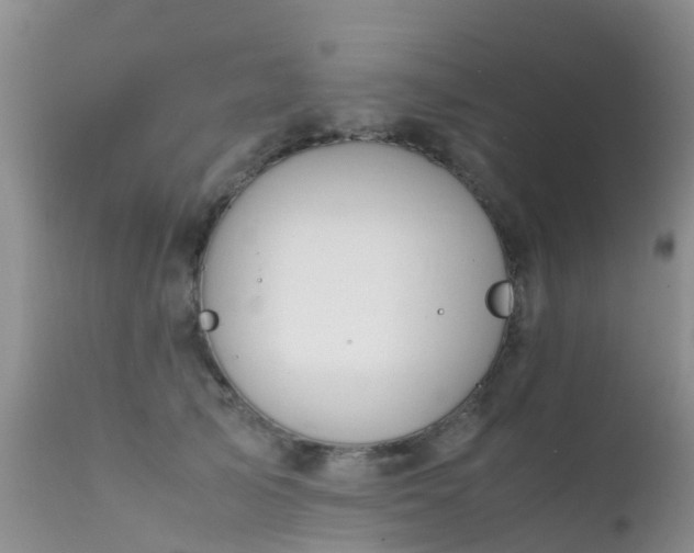 X0000112210705200908141458