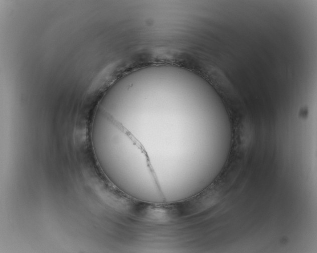 X0000112210706200908141458