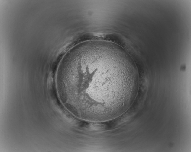 X0000112210707200908141458