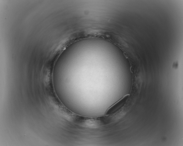 X0000112210708200908141458