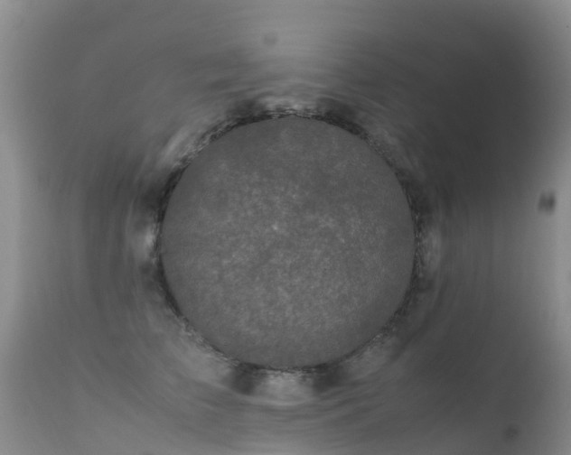 X0000112210709200908141458