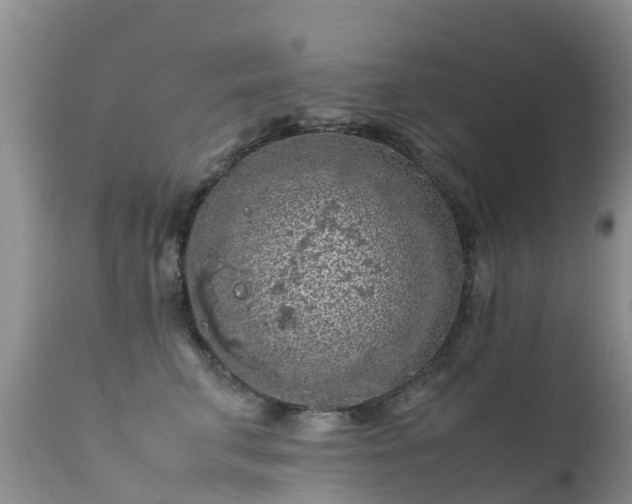 X0000112210711200908141458