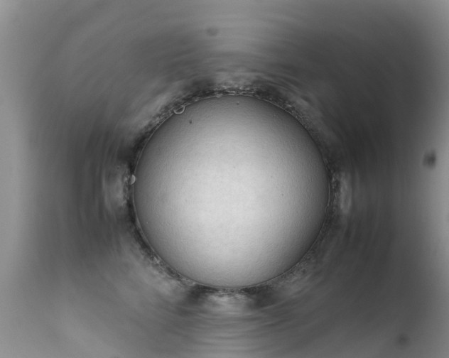 X0000112210712200908141458