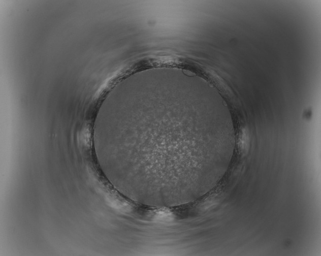 X0000112210715200908141458