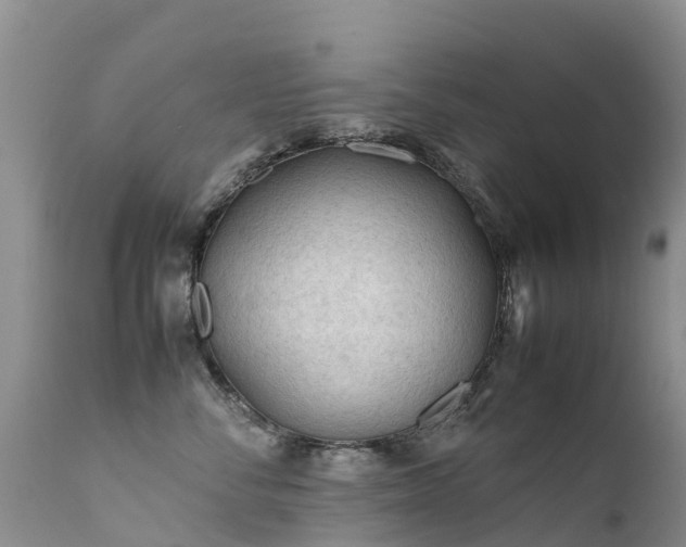 X0000112210716200908141458