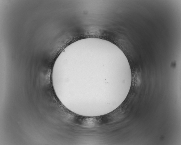 X0000112210717200908141458