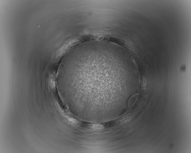 X0000112210719200908141458